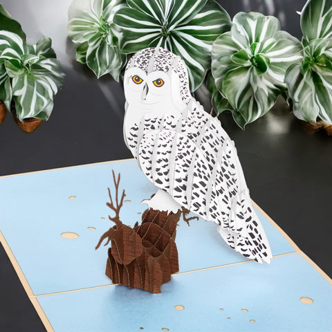 Owl Pop Up Card