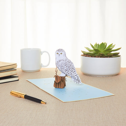 Owl Pop Up Card