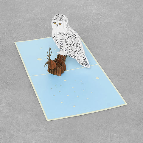 Owl Pop Up Card