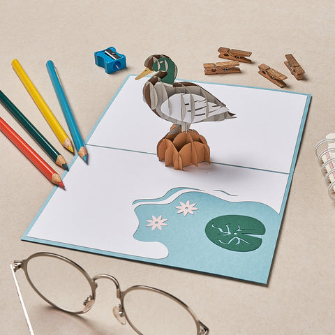 Duck Pop Up Card
