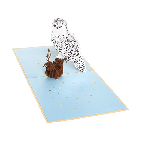 Owl Pop Up Card