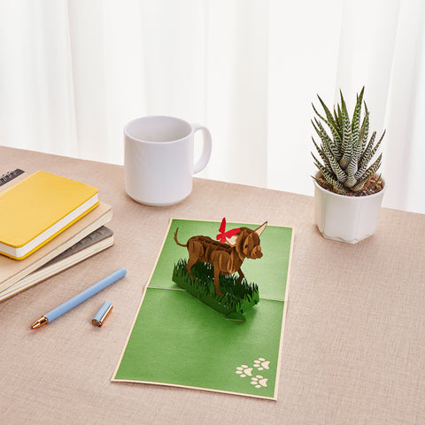 Chihuahua Pop Up Card