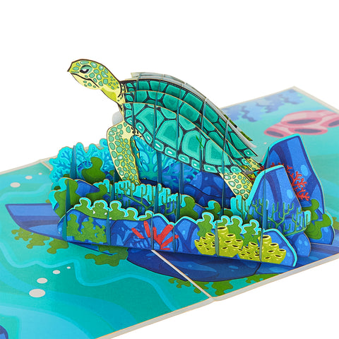 Sea Turtle Pop Up Card