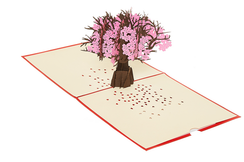 Flower Pack Pop Up Card (4cards)