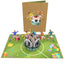 Soccer Birthday Pop Up Card