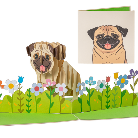 Pug Pop Up Card