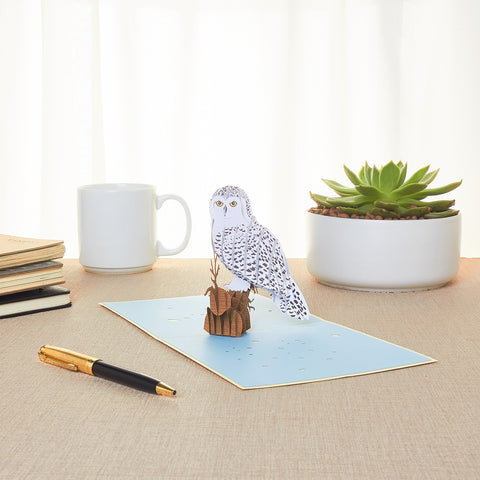 Owl Pop Up Card