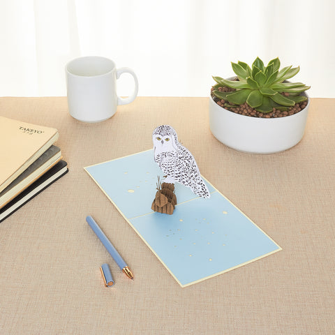 Owl Pop Up Card