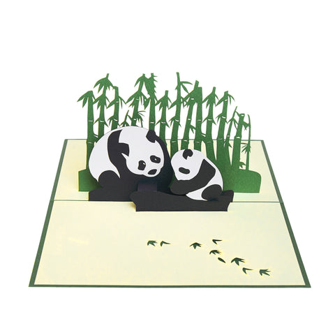 Panda Pop Up Card