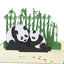 Panda Pop Up Card