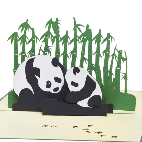 Panda Pop Up Card