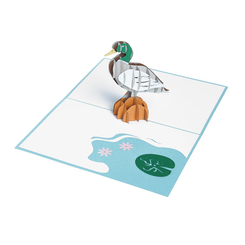 Duck Pop Up Card