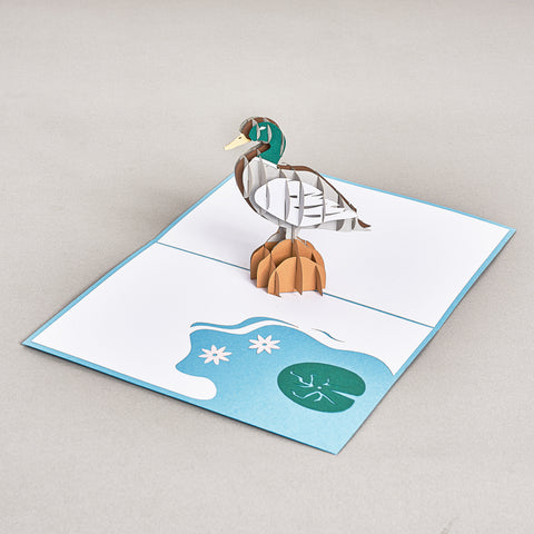 Duck Pop Up Card