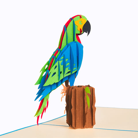 Parrot Pop Up Card