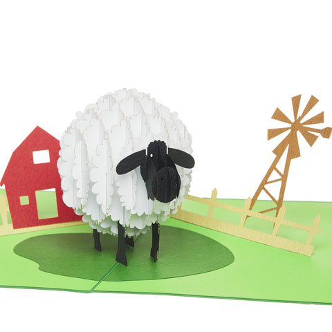 Sheep Pop Up Card