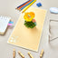 Baby Chicken Pop Up Card