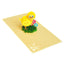 Baby Chicken Pop Up Card