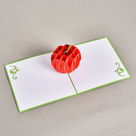 Fresh Red Apple Pop Up Card