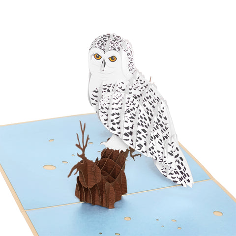 Owl Pop Up Card