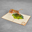 Tiger Pop Up Card