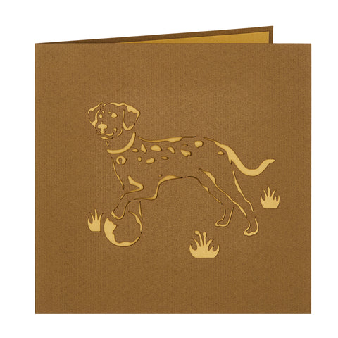 Dalmatian Pop Up Card