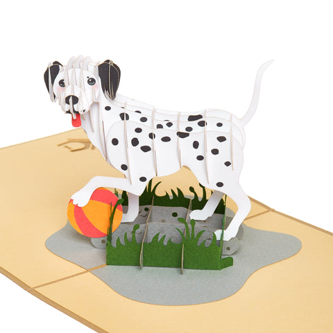 Dalmatian Pop Up Card