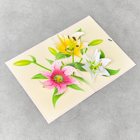 Lily Pop Up Card