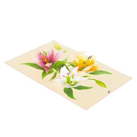 Lily Pop Up Card