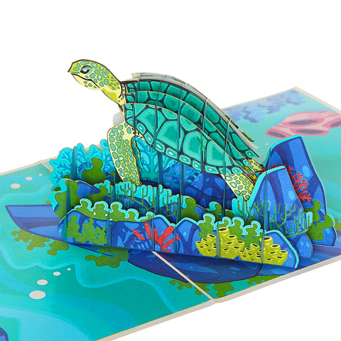 Sea Turtle Pop Up Card