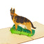 German Shepherd Pop Up Card