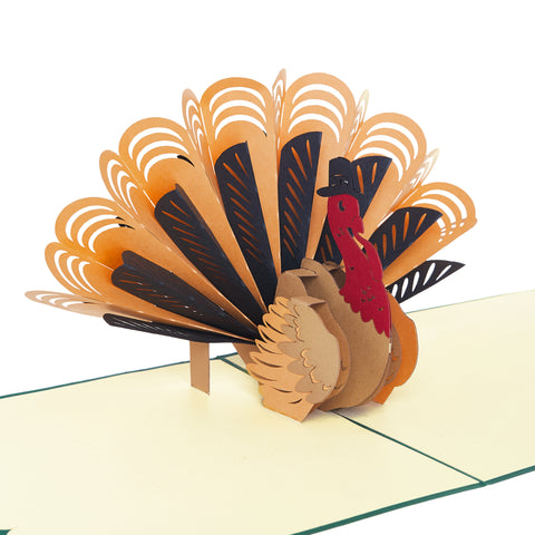 Turkey ThanksGiving Pop Up Card (2pack)