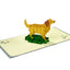 Golden Retriever Pop Up Card
