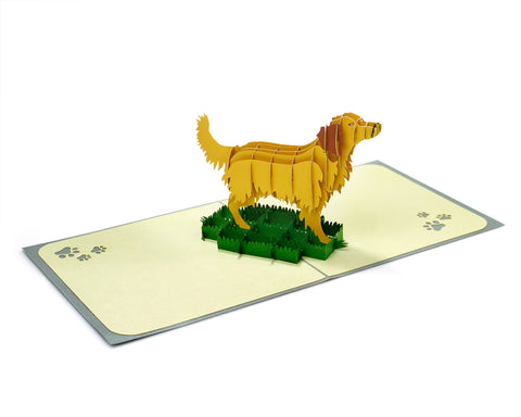 Golden Retriever Pop Up Card