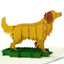 Golden Retriever Pop Up Card