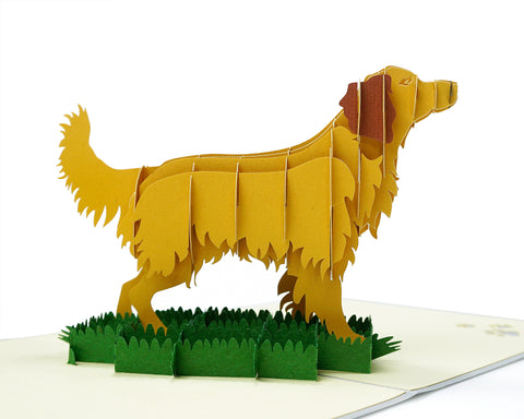 Golden Retriever Pop Up Card