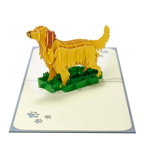 Golden Retriever Pop Up Card