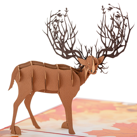 Moose Pop Up Card