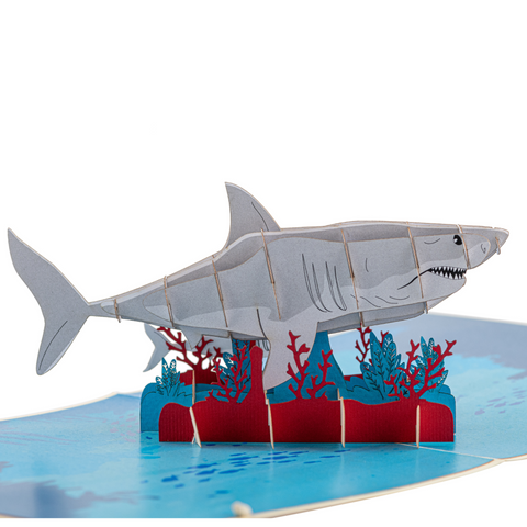 Shark Pop Up Card