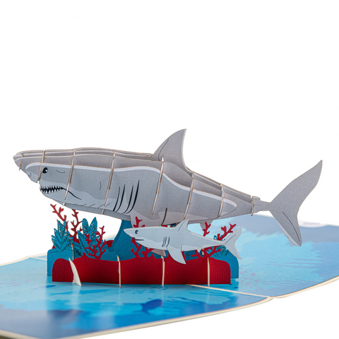 Shark Pop Up Card